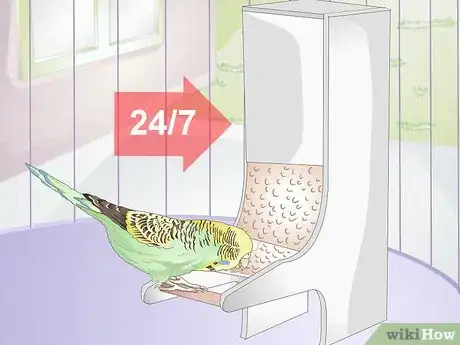 Obrázek nazván Feed Budgies Step 7