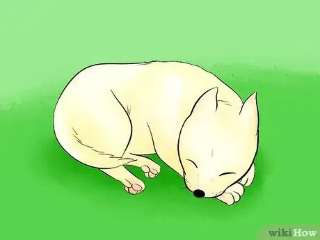 Obrázek nazván Draw a Cartoon Dog Step 28