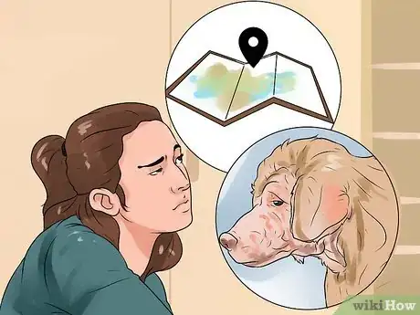 Obrázek nazván Identify Mange on Dogs Step 12