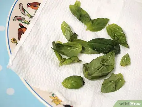 Obrázek nazván Freeze Basil Step 14