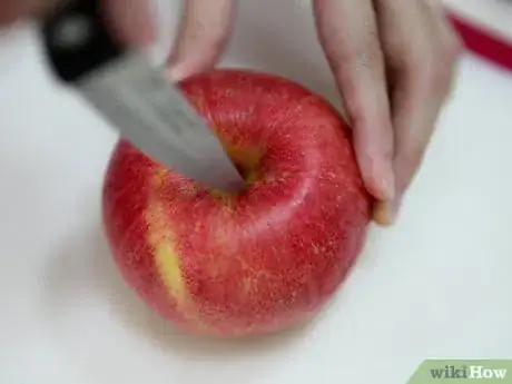 Obrázek nazván Freeze Apples Step 18Bullet1