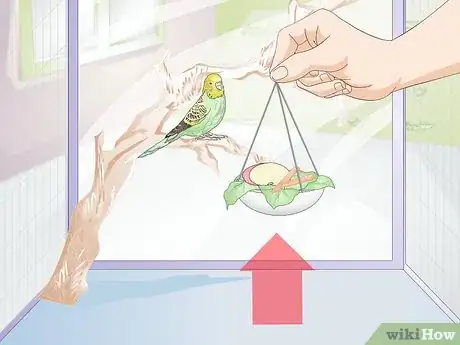 Obrázek nazván Feed Budgies Step 11