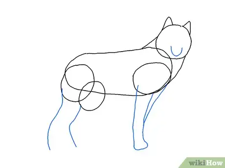 Obrázek nazván Draw a Wolf Step 4