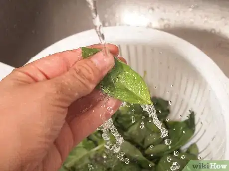 Obrázek nazván Freeze Basil Step 19