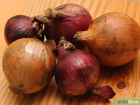 Obrázek nazván Store Onions Step 10