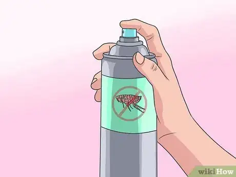 Obrázek nazván Eliminate a Flea Infestation in Your Home Step 9