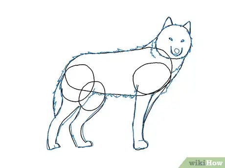 Obrázek nazván Draw a Wolf Step 6