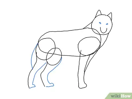 Obrázek nazván Draw a Wolf Step 5