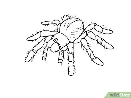 Obrázek nazván Draw a Spider Step 9