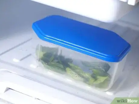 Obrázek nazván Freeze Basil Step 17