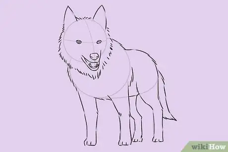 Obrázek nazván Draw a Wolf Step 16