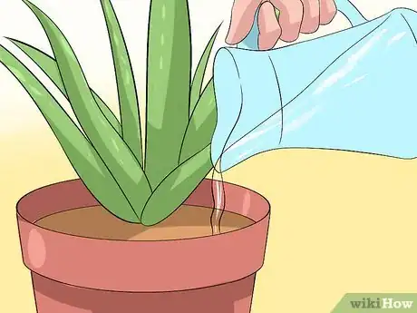 Obrázek nazván Care for Your Aloe Vera Plant Step 2