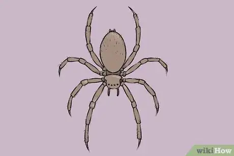 Obrázek nazván Draw a Spider Step 18