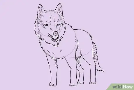 Obrázek nazván Draw a Wolf Step 17