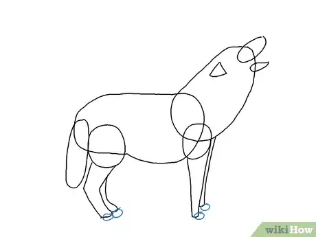 Obrázek nazván Draw a Wolf Step 14