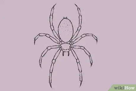 Obrázek nazván Draw a Spider Step 17