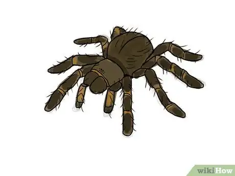 Obrázek nazván Draw a Spider Step 10