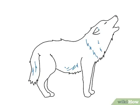 Obrázek nazván Draw a Wolf Step 16