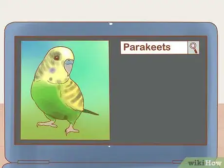 Obrázek nazván Take Care of a Parakeet Step 2