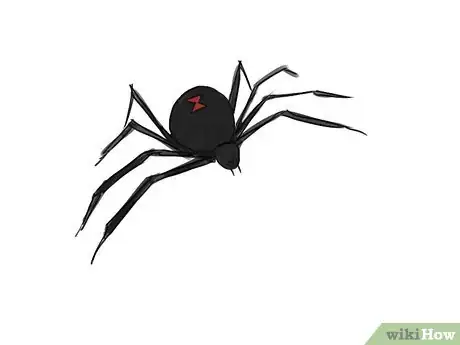 Obrázek nazván Draw a Spider Step 17