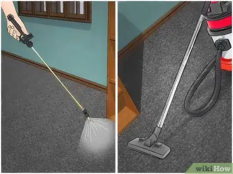 Obrázek nazván Get Rid of Fleas in Carpets Step 6