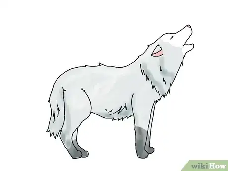 Obrázek nazván Draw a Wolf Step 17