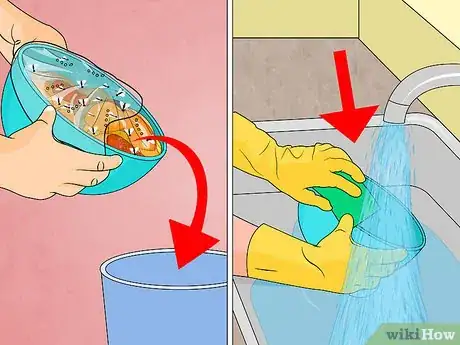 Obrázek nazván Get Rid of Fruit Flies Step 12