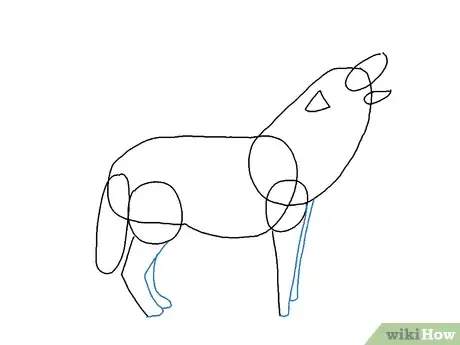 Obrázek nazván Draw a Wolf Step 13