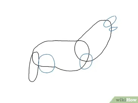 Obrázek nazván Draw a Wolf Step 11