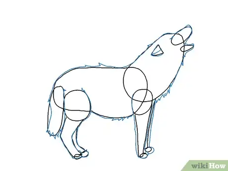 Obrázek nazván Draw a Wolf Step 15