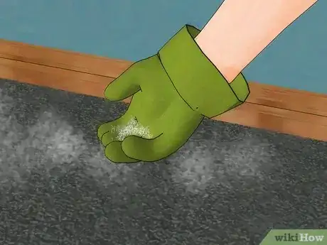 Obrázek nazván Get Rid of Fleas in Carpets Step 7