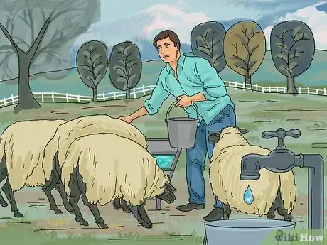 Obrázek nazván Care for Sheep Step 10