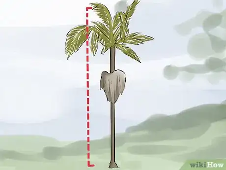 Obrázek nazván Remove a Palm Tree Step 2