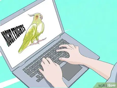 Obrázek nazván Take Care of a Cockatiel Step 17