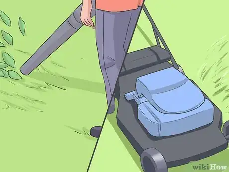 Obrázek nazván Eliminate a Flea Infestation in Your Home Step 10