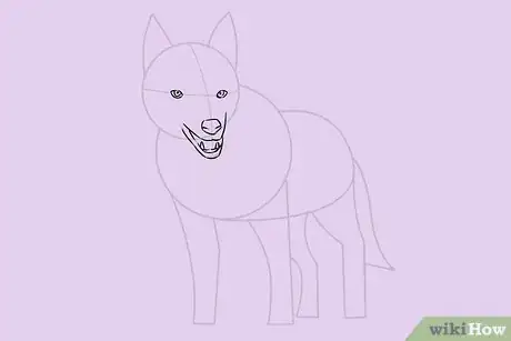 Obrázek nazván Draw a Wolf Step 14