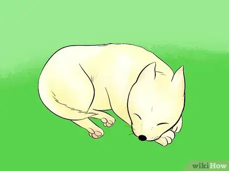 Obrázek nazván Draw a Cartoon Dog Step 27