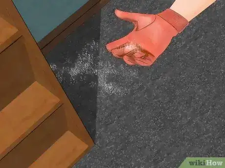 Obrázek nazván Get Rid of Fleas in Carpets Step 14