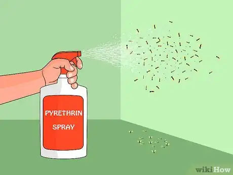 Obrázek nazván Get Rid of Fruit Flies Step 14