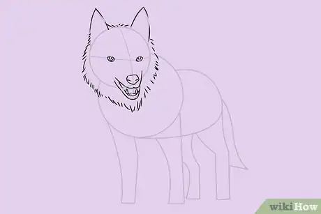 Obrázek nazván Draw a Wolf Step 15