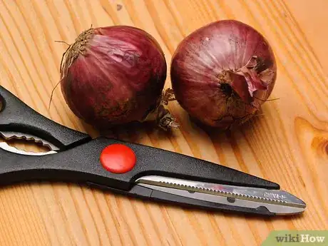 Obrázek nazván Store Onions Step 4